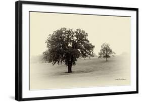 Horses and Tress II-Debra Van Swearingen-Framed Photographic Print