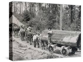 Horses are Used to Pull Large Tree Trunks on Railway Carriages in California-null-Stretched Canvas