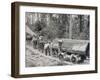 Horses are Used to Pull Large Tree Trunks on Railway Carriages in California-null-Framed Premium Photographic Print