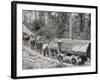 Horses are Used to Pull Large Tree Trunks on Railway Carriages in California-null-Framed Photographic Print