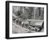 Horses are Used to Pull Large Tree Trunks on Railway Carriages in California-null-Framed Photographic Print