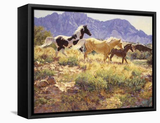 Horses at Big Wash-Claire Goldrick-Framed Stretched Canvas