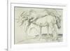 Horses at Coolmore, 1990-Antonio Ciccone-Framed Giclee Print