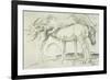 Horses at Coolmore, 1990-Antonio Ciccone-Framed Giclee Print