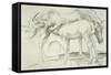 Horses at Coolmore, 1990-Antonio Ciccone-Framed Stretched Canvas