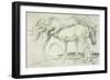 Horses at Coolmore, 1990-Antonio Ciccone-Framed Giclee Print