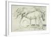 Horses at Coolmore, 1990-Antonio Ciccone-Framed Giclee Print