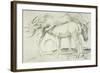 Horses at Coolmore, 1990-Antonio Ciccone-Framed Giclee Print