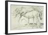 Horses at Coolmore, 1990-Antonio Ciccone-Framed Giclee Print