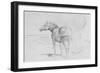 Horses at Coolmore, 1990-Antonio Ciccone-Framed Giclee Print