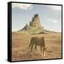 Horses at Mount Agathla, Monument Valley, Arizona-Vincent James-Framed Stretched Canvas