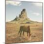 Horses at Mount Agathla, Monument Valley, Arizona-Vincent James-Mounted Photographic Print