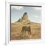 Horses at Mount Agathla, Monument Valley, Arizona-Vincent James-Framed Photographic Print