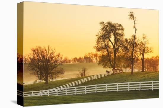 Horses at sunrise, Shaker Village of Pleasant Hill, Harrodsburg, Kentucky-Adam Jones-Stretched Canvas