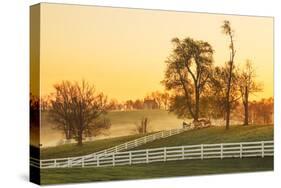 Horses at sunrise, Shaker Village of Pleasant Hill, Harrodsburg, Kentucky-Adam Jones-Stretched Canvas