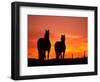 Horses at Sunset near Ranfurly, Maniototo, Central Otago-David Wall-Framed Photographic Print