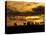 Horses at Sunset-Aledanda-Stretched Canvas