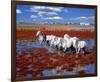 Horses at the Camargue, France-null-Framed Premium Giclee Print