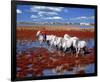 Horses at the Camargue, France-null-Framed Premium Giclee Print