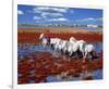 Horses at the Camargue, France-null-Framed Premium Giclee Print