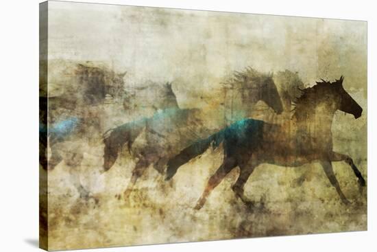 Horses, Beautiful and Free-Ken Roko-Stretched Canvas