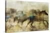Horses, Beautiful and Free-Ken Roko-Stretched Canvas