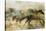 Horses, Beautiful and Free-Ken Roko-Stretched Canvas