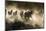 Horses being herded by a wrangler, backlit at sunrise-Sheila Haddad-Mounted Photographic Print