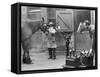 Horses Being X-Rayed-null-Framed Stretched Canvas