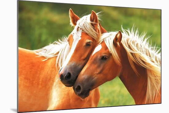 Horses (Blondes) Art Poster Print-null-Mounted Poster