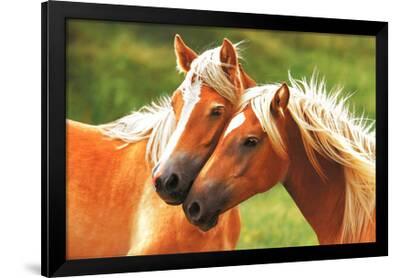 Horses (Blondes) Art Poster Print--Framed Poster
