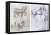 Horses, C1490-1510-Leonardo da Vinci-Framed Stretched Canvas