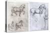 Horses, C1490-1510-Leonardo da Vinci-Stretched Canvas
