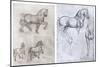 Horses, C1490-1510-Leonardo da Vinci-Mounted Giclee Print
