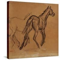 Horses, circa 1882-Edgar Degas-Stretched Canvas