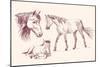 Horses Collection-VladisChern-Mounted Art Print