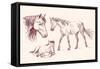 Horses Collection-VladisChern-Framed Stretched Canvas