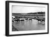 Horses Crossing the River at Round-Up Camp-L.a. Huffman-Framed Art Print