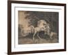 Horses Fighting-George Stubbs-Framed Premium Giclee Print