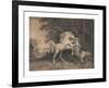 Horses Fighting-George Stubbs-Framed Premium Giclee Print