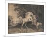 Horses Fighting-George Stubbs-Mounted Premium Giclee Print