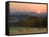 Horses Graze at Sunrise, Provence, France-Jim Zuckerman-Framed Stretched Canvas