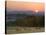 Horses Graze at Sunrise, Provence, France-Jim Zuckerman-Stretched Canvas