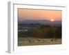 Horses Graze at Sunrise, Provence, France-Jim Zuckerman-Framed Photographic Print