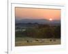 Horses Graze at Sunrise, Provence, France-Jim Zuckerman-Framed Photographic Print