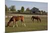 Horses Graze On Farmland In Rural Alabama-Carol Highsmith-Mounted Art Print