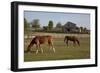 Horses Graze On Farmland In Rural Alabama-Carol Highsmith-Framed Art Print