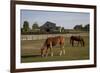 Horses Graze On Farmland In Rural Alabama-Carol Highsmith-Framed Art Print