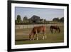 Horses Graze On Farmland In Rural Alabama-Carol Highsmith-Framed Art Print