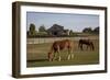 Horses Graze On Farmland In Rural Alabama-Carol Highsmith-Framed Art Print